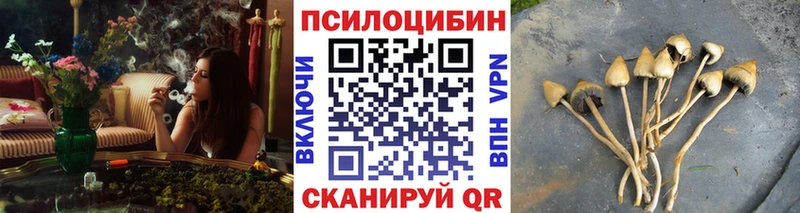 omg маркетплейс  Малмыж  Галлюциногенные грибы мухоморы 